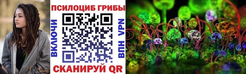 Псилоцибиновые грибы ЛСД  Купить где  Мамадыш 